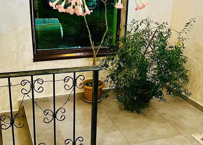 Hotel Elite House