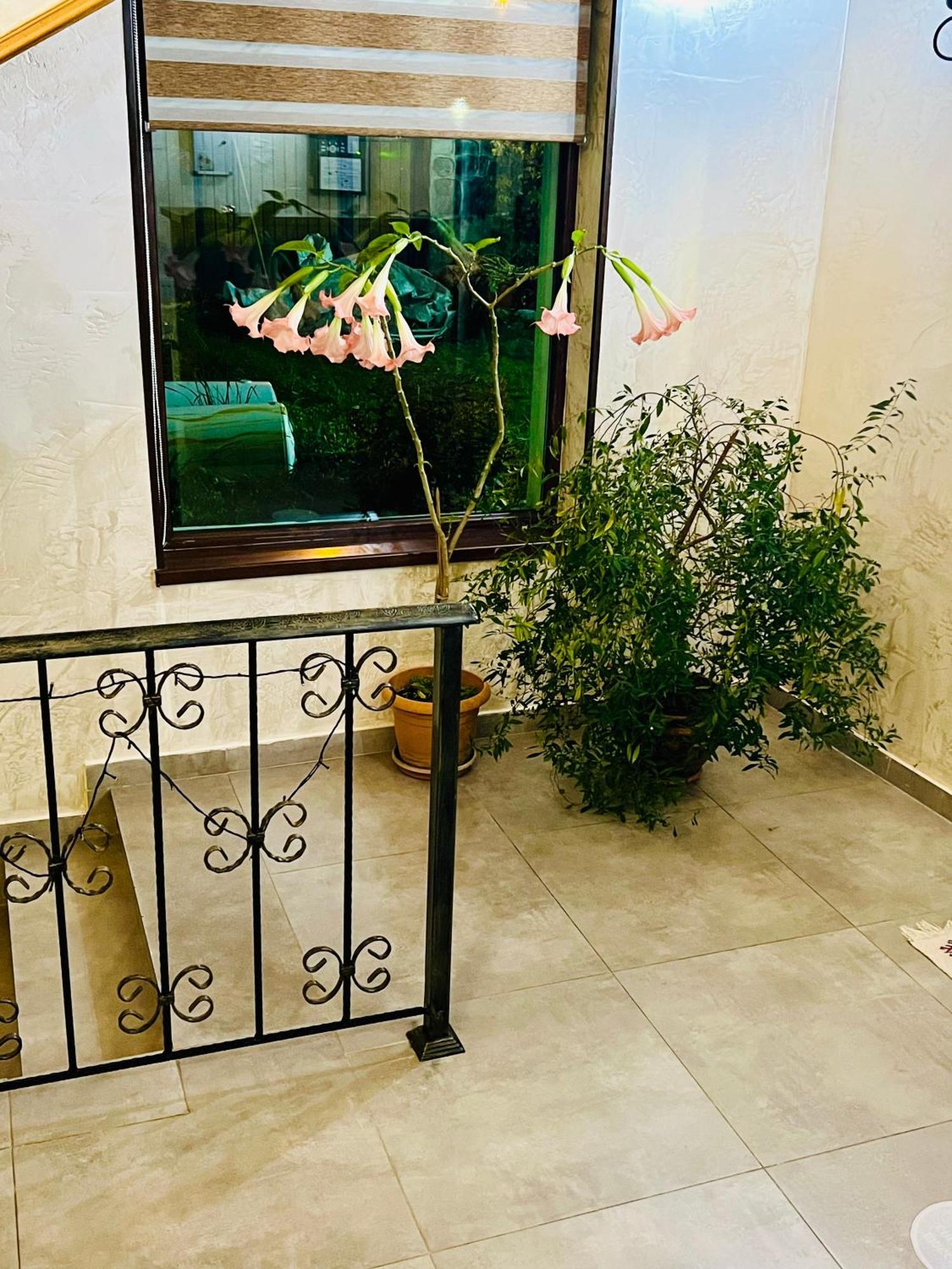 Elite House Mestia